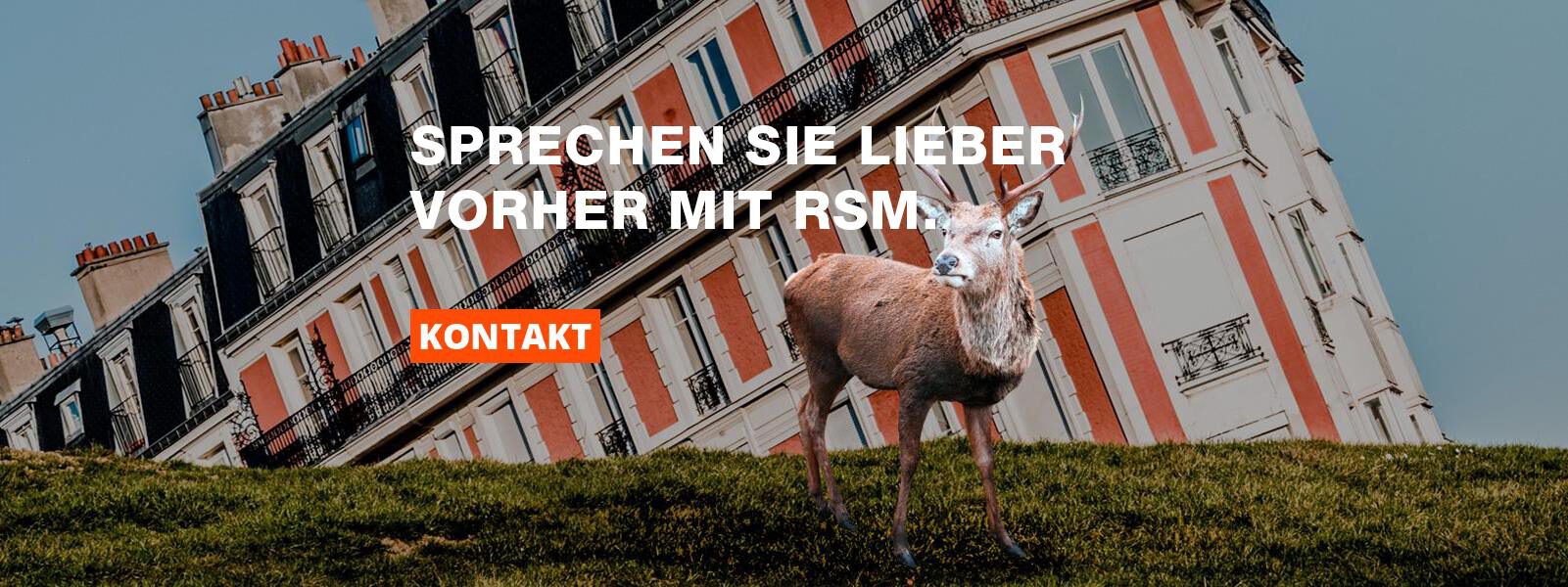 RSM Ingenieure - Sprechen Sie lieber vorher mit RSM.